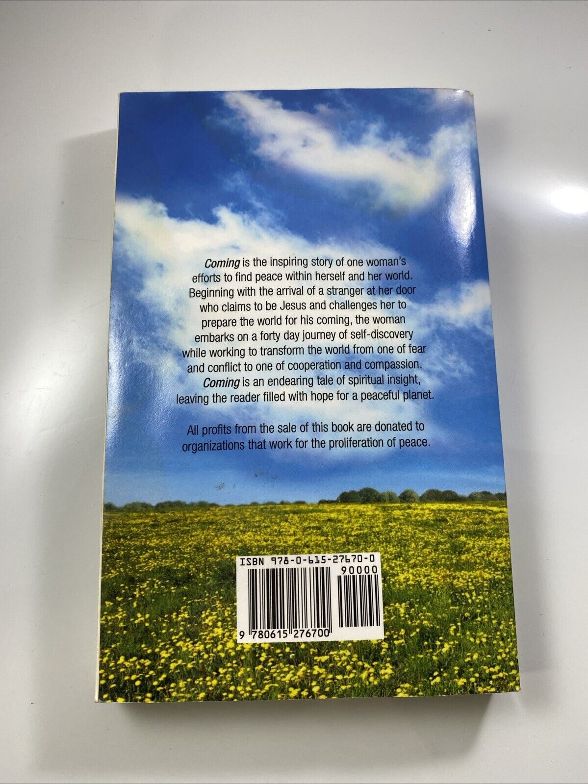 Coming Rare Signed Fiction Novel Local Author Susan Marting Paperback Good