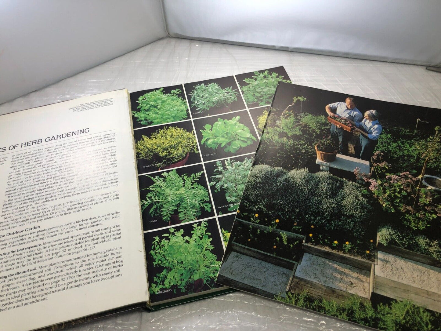 Gardening Herbs and Spices (The American Horticultural Society ILLUSTRATED