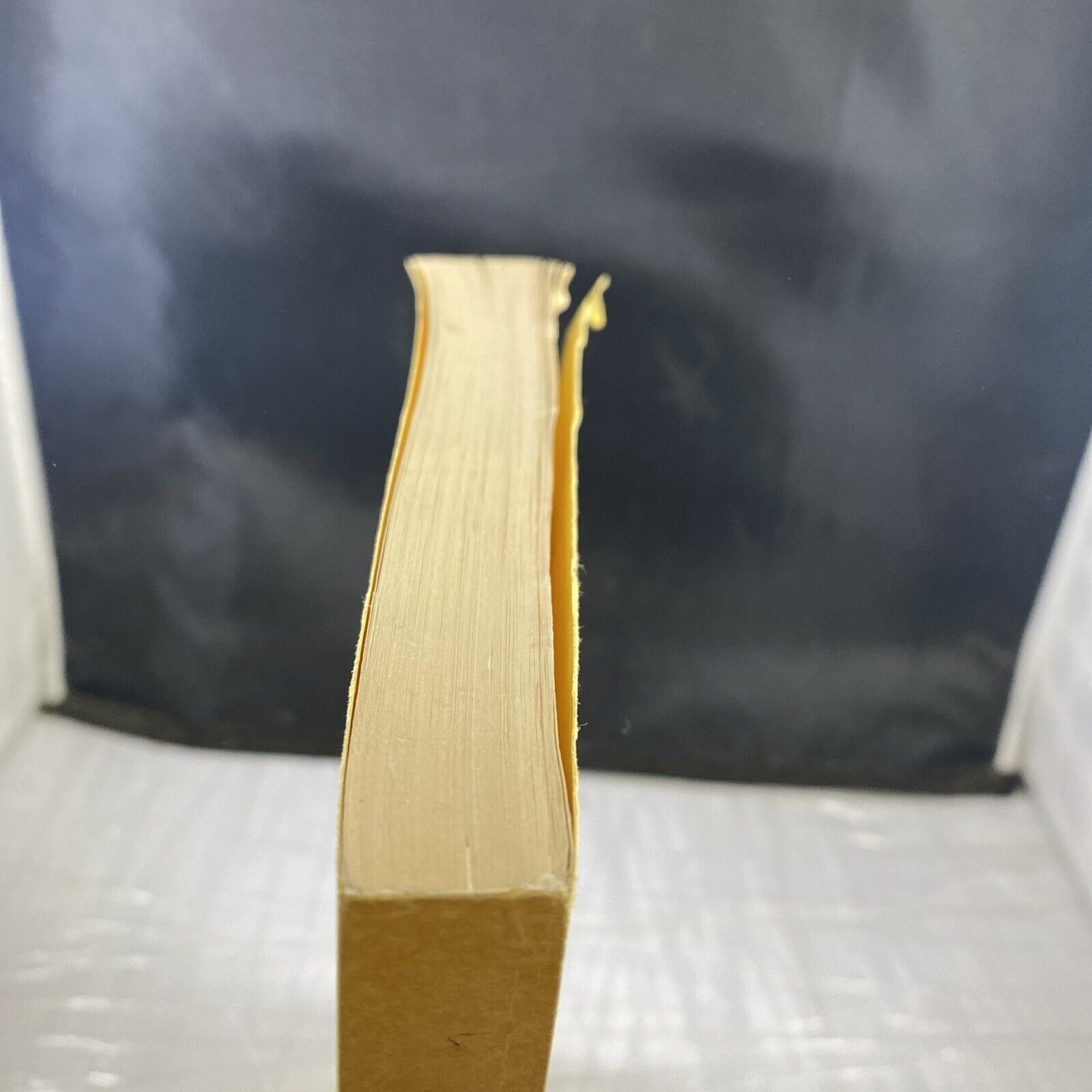 William Holmes Borders When The Bottom Of Your Heart Unique Rare Volume READ DES