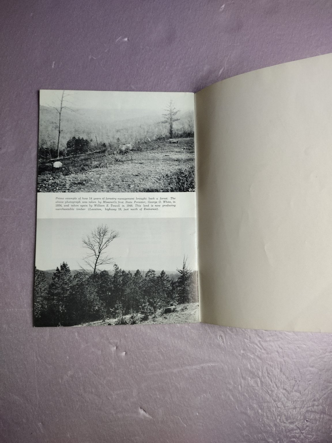 Forestry in Missouri Revised 1960 Missouri Conservation Commission Vintage