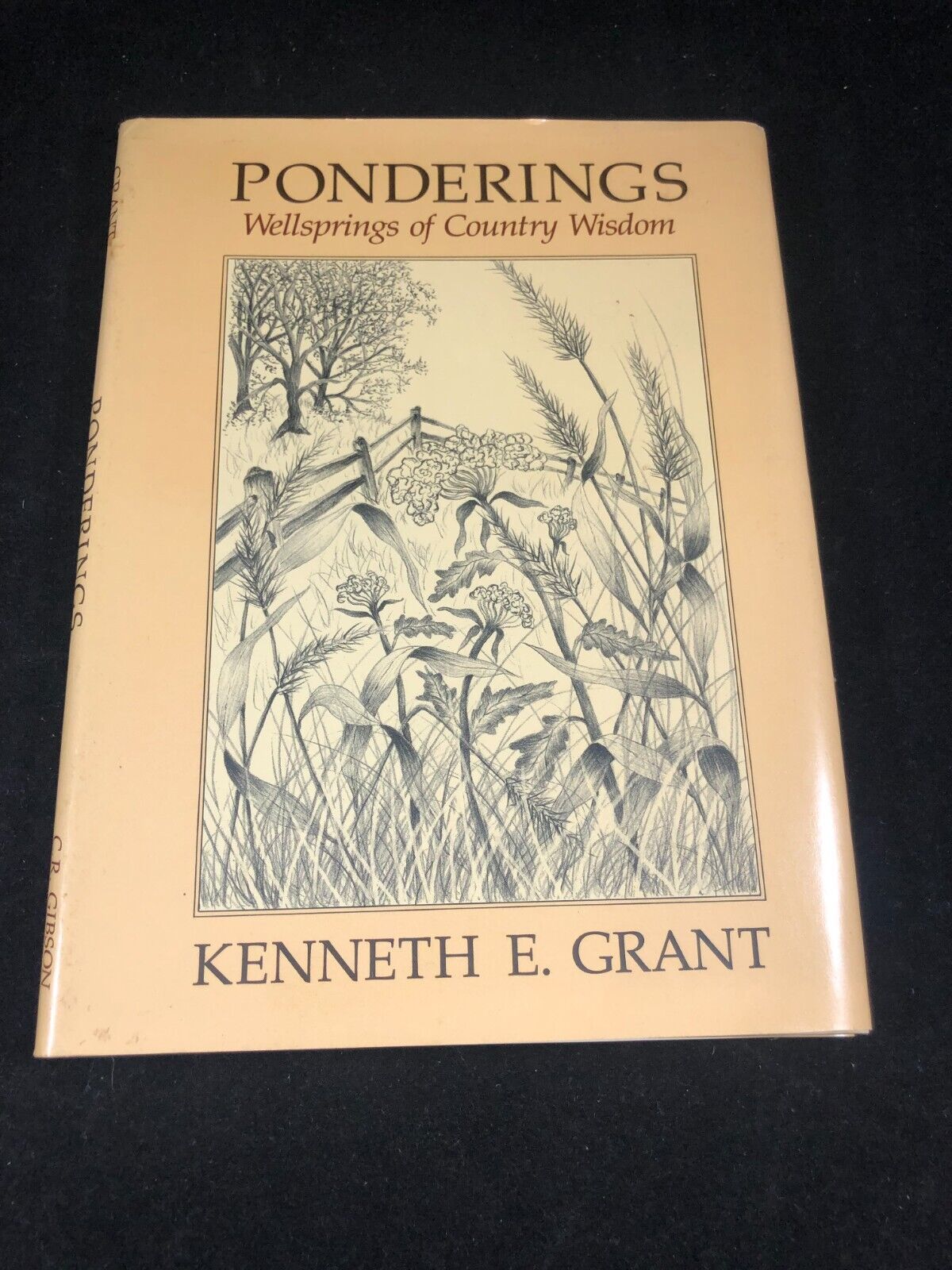 Ponderings - Hardcover By Grant, Kenneth - GOOD