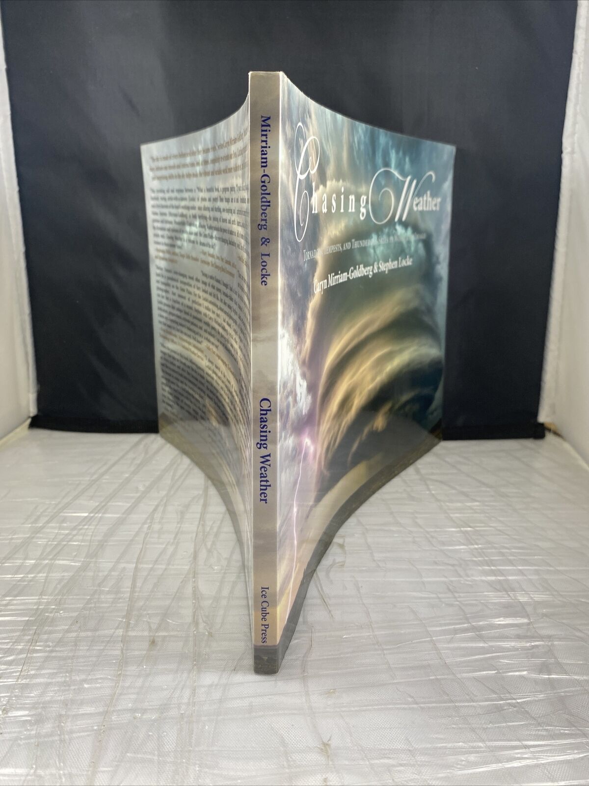 Chasing Weather Tornadoes, Storm Chasing Picture Book SIGNED Caryn Stephen Locke