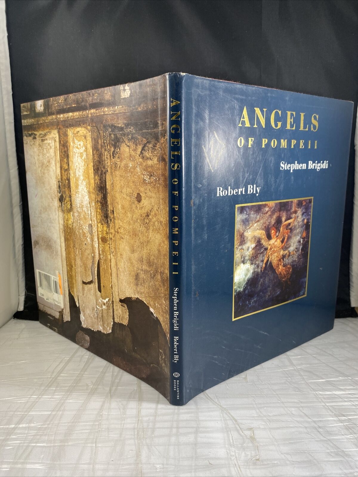 Angels of Pompeii Hardcover Robert, Brigidi, Stephen Bly Vintage Poetry Art Book