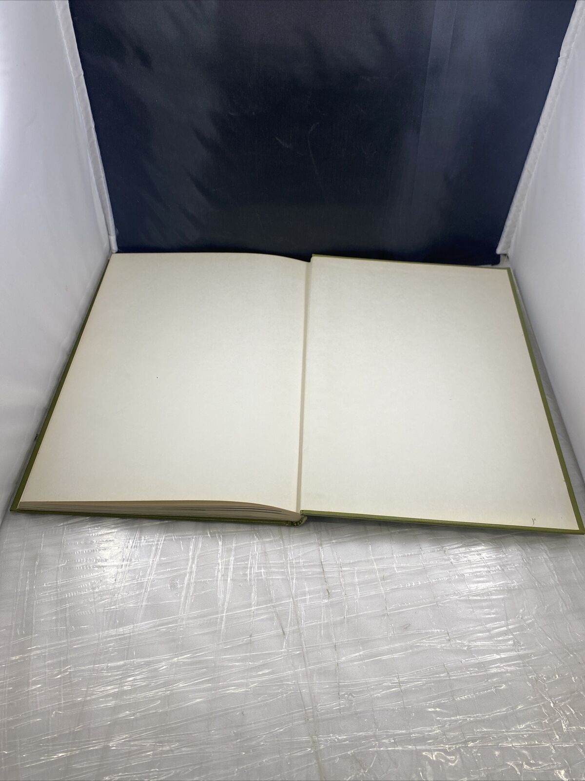 The Odyssey Book of AMERICAN WILDFLOWERS by H.W. Rickett 60s Vintage Pictures