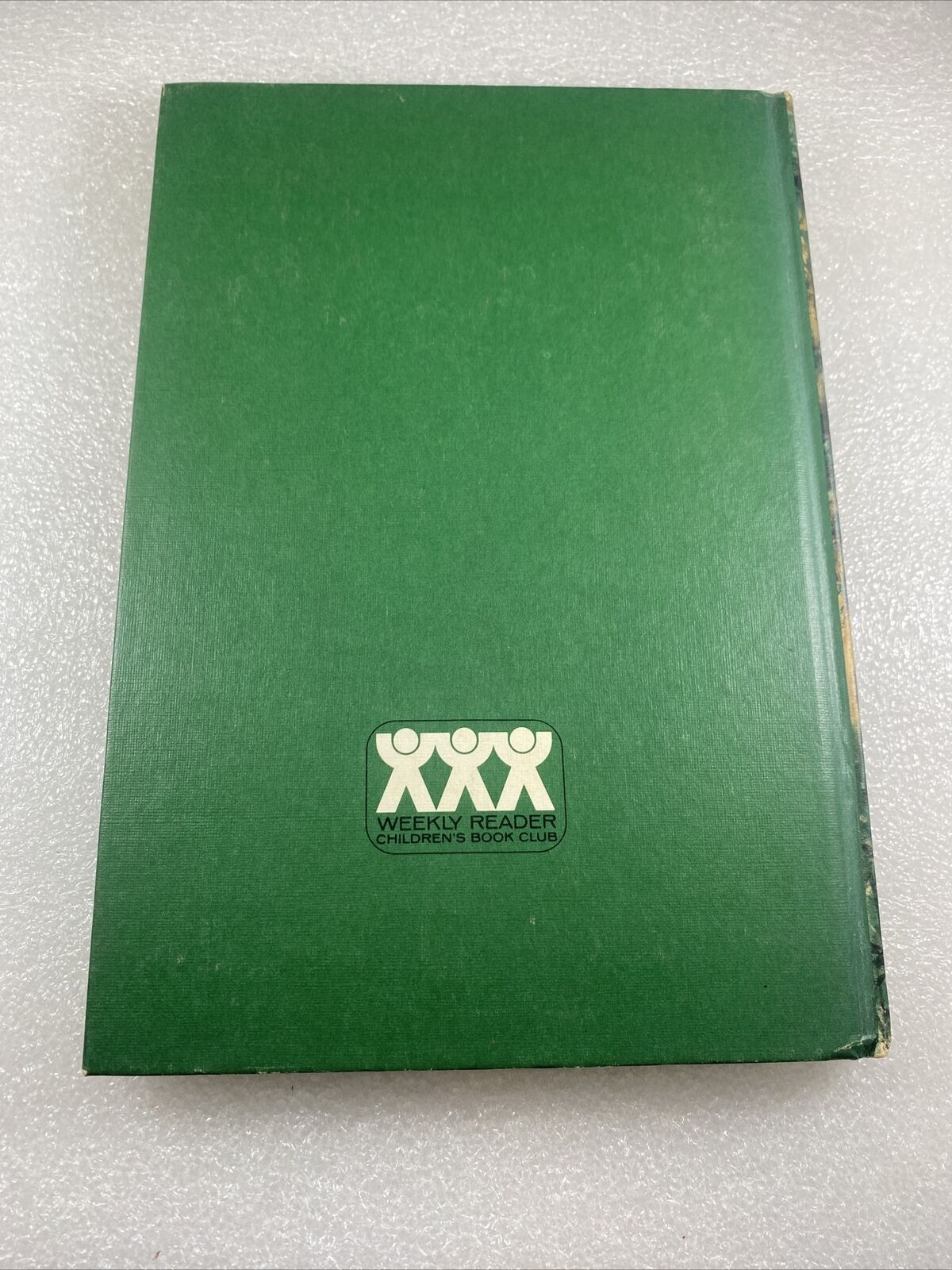 Devil's Doorstep by Marian Rumsey Weekly Reader Vintage 60s Kids Chapter Book