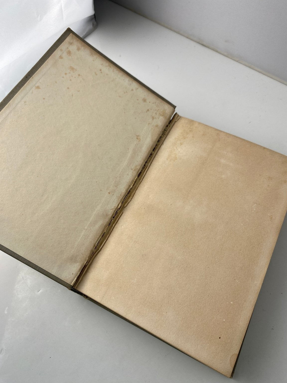Orientalisms in Bible Lands Edwin Wilbur Rice 1910 First Edition American