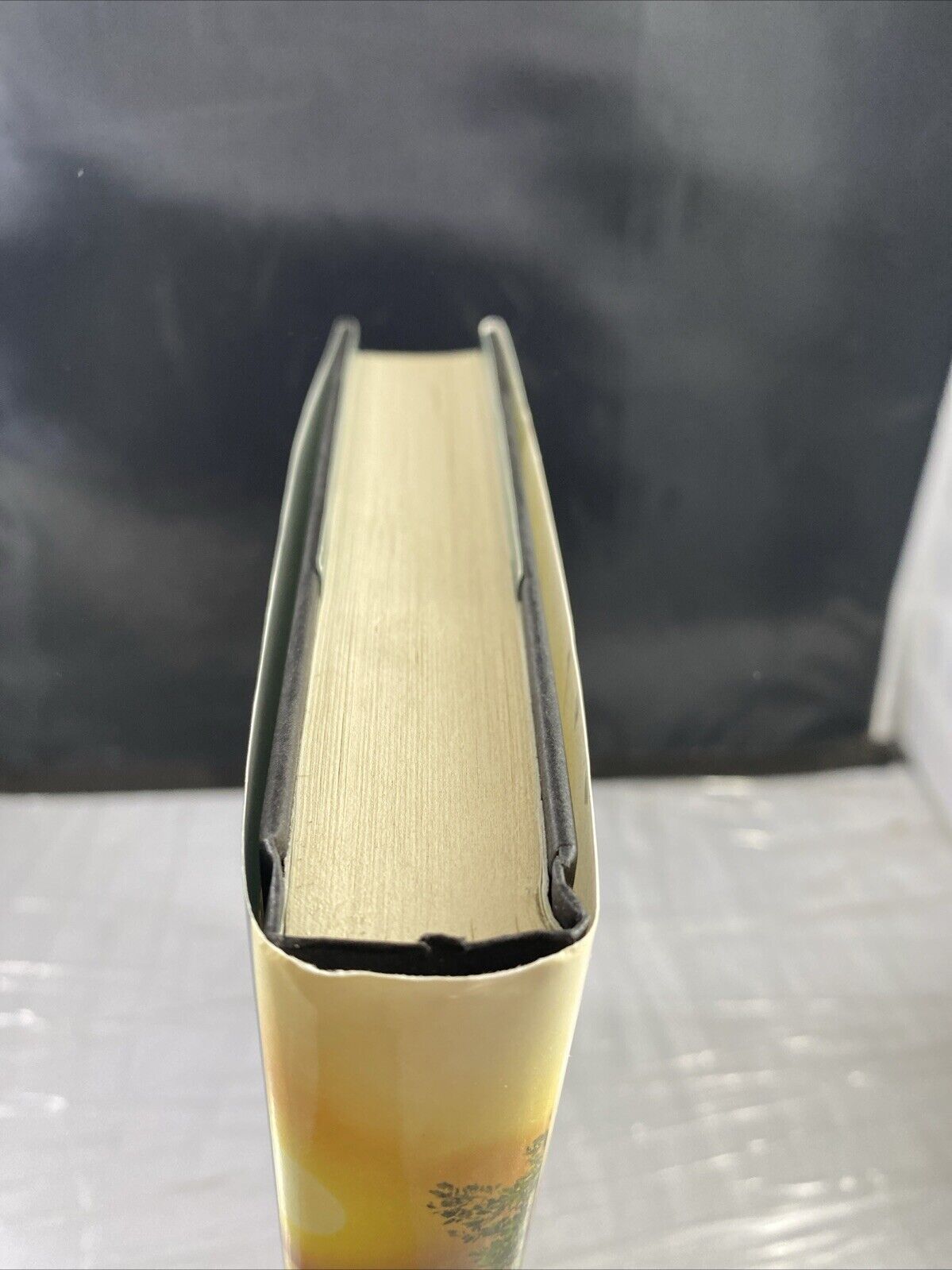 Drowning Tides (South Shores, 2) - Hardcover, by Harper Karen VERY GOOD