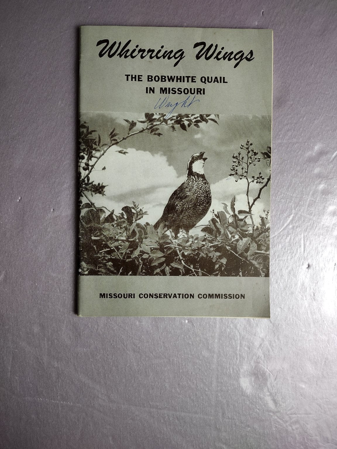 Whirring Wings M.O. Steen Bobwhite Quail Missouri Conservation Hunting Guide