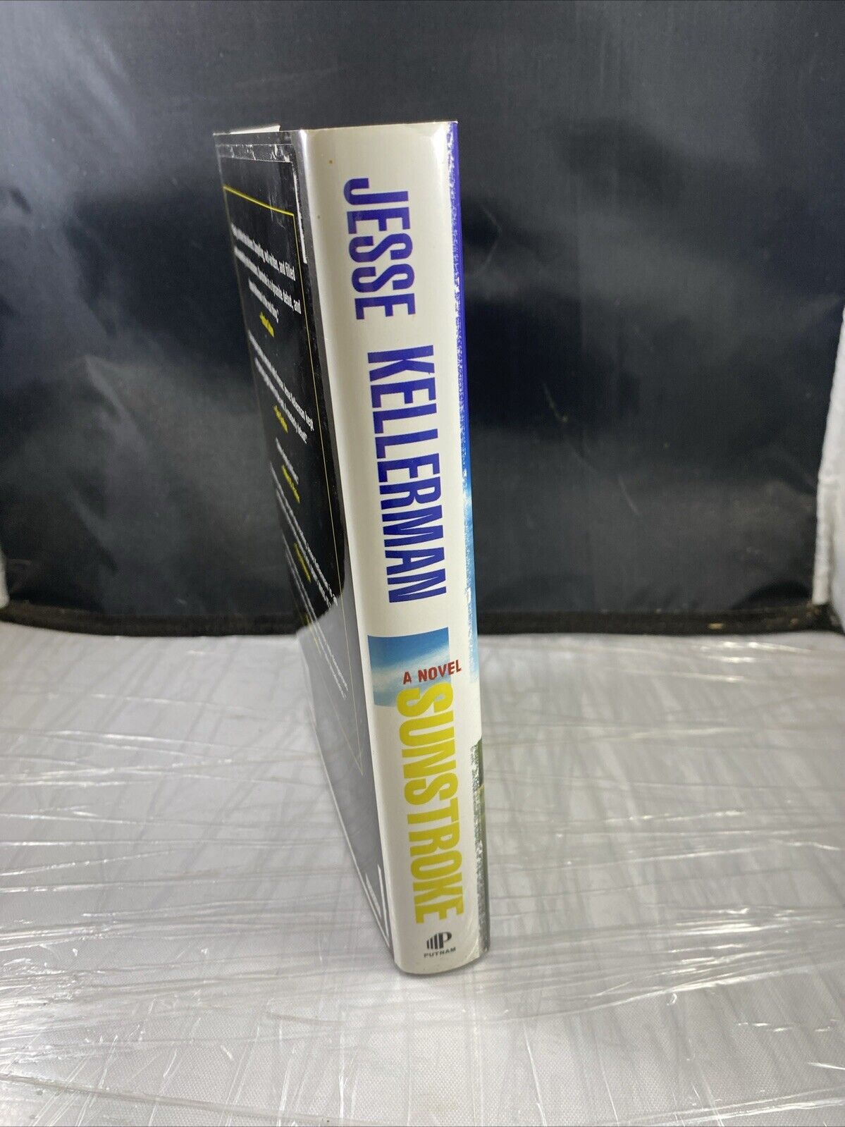 Sunstroke - Hardcover By Kellerman, Jesse - VERY GOOD UNMARKED BCE