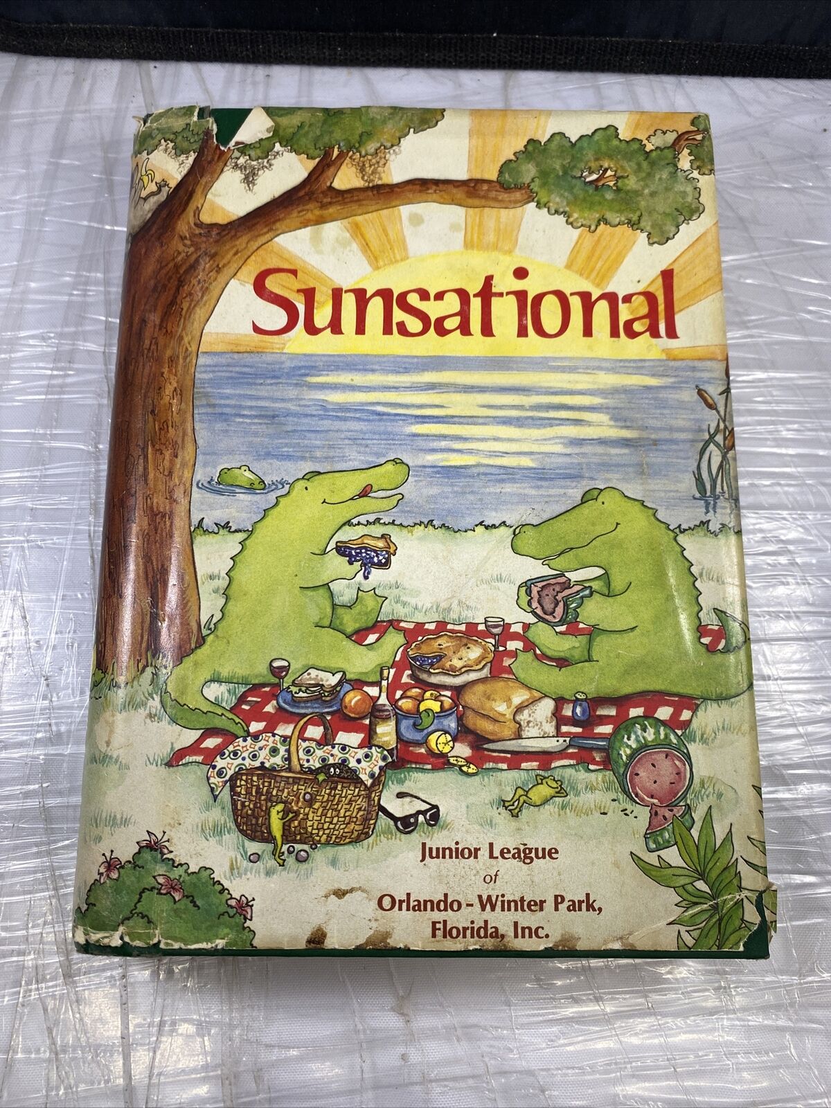 SUNSATIONAL A Cookbook by the Junior League of Orlando Vintage 80s First Print!