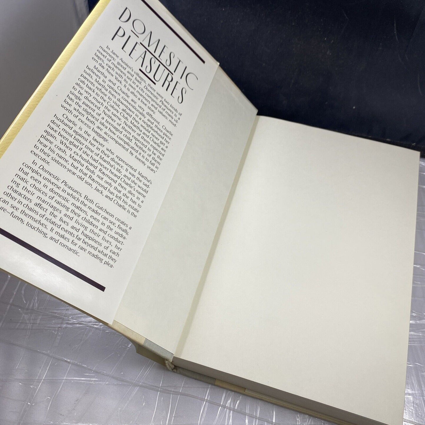 Domestic Pleasures - Beth Gutcheon (Vintage Hardcover Book, 1991)  First Edition