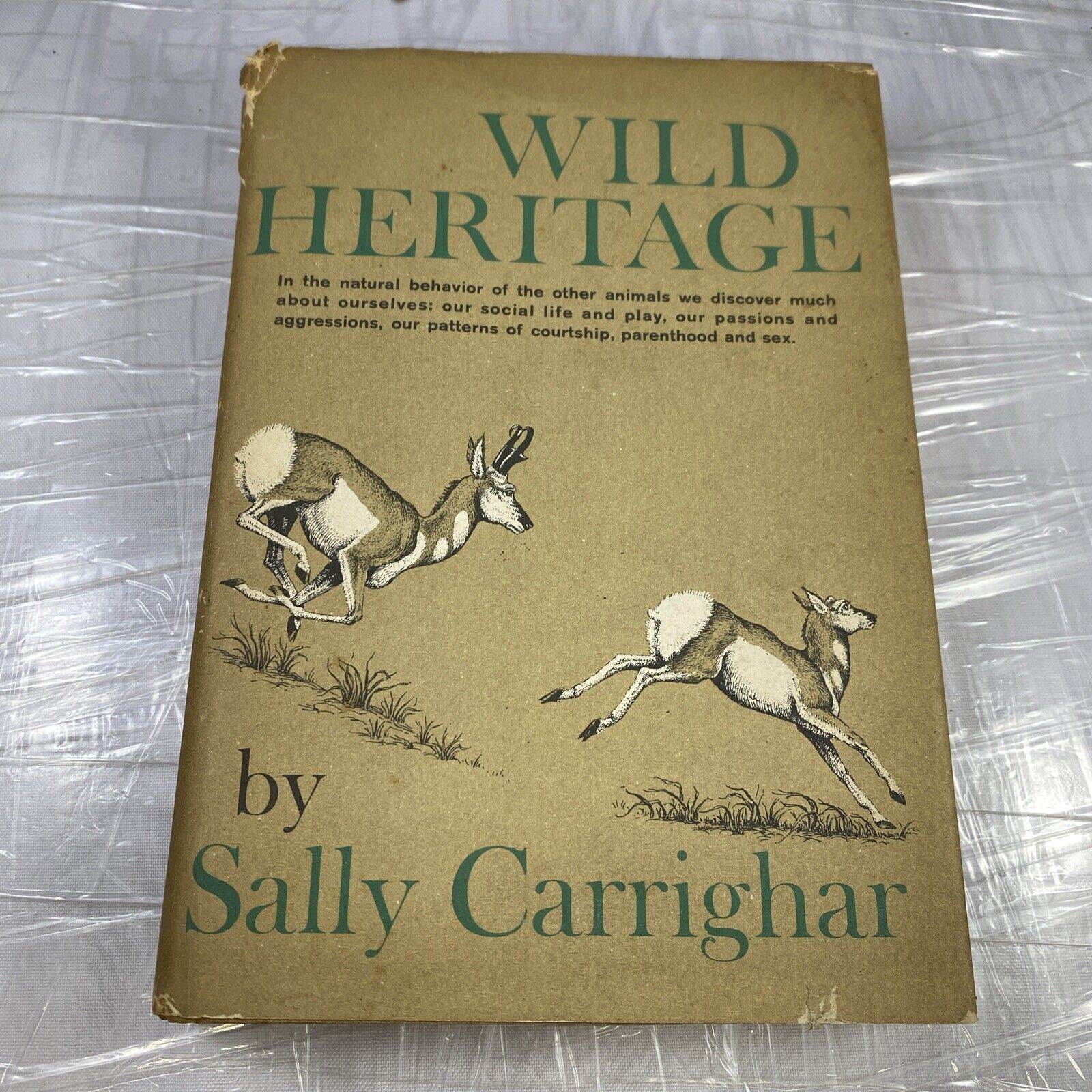 Wild Heritage by Sally  Carrighar - Vintage 60s Animal & Human Behavior Psych