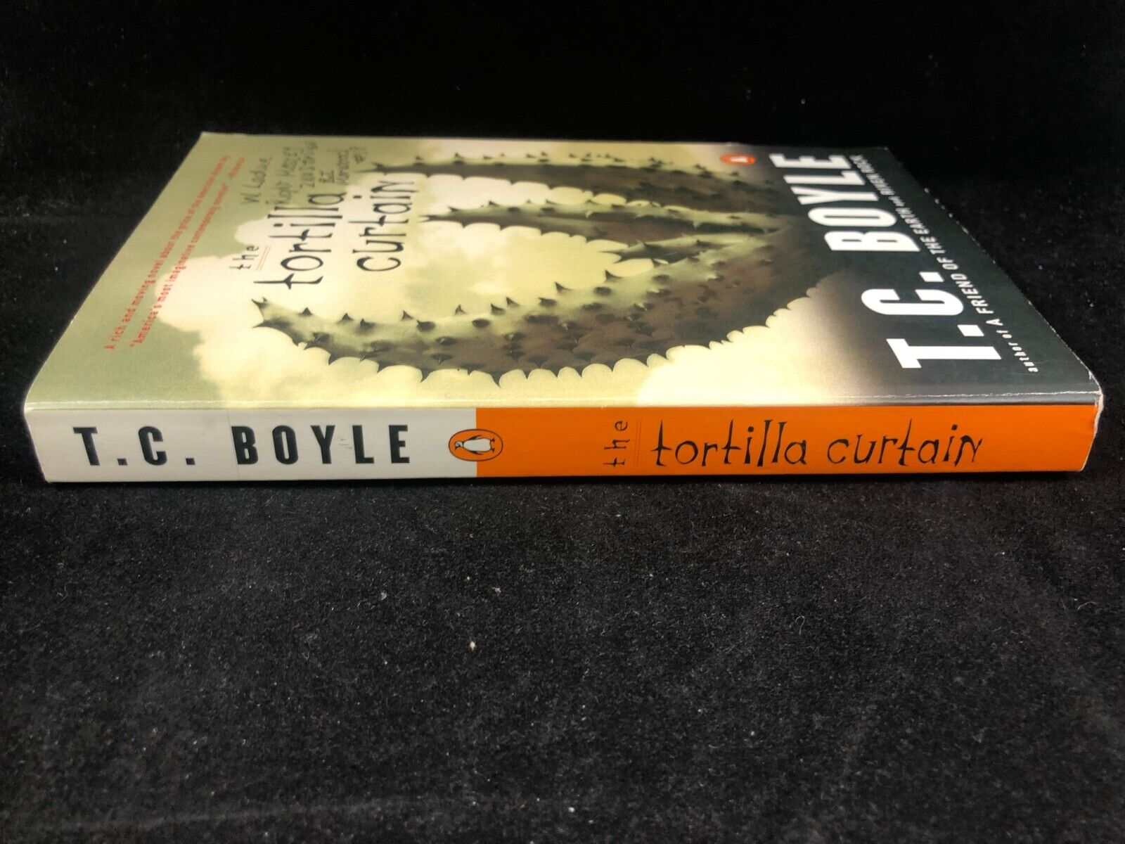 The Tortilla Curtain Paperback T. C. Boyle American Dream novel. Has writing