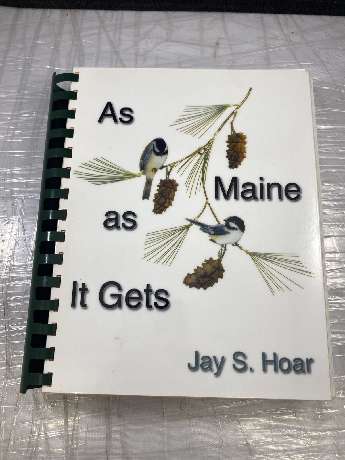 As Maine As It Gets Jay S. Hoar Rare Unique Special History Local Book See Pics