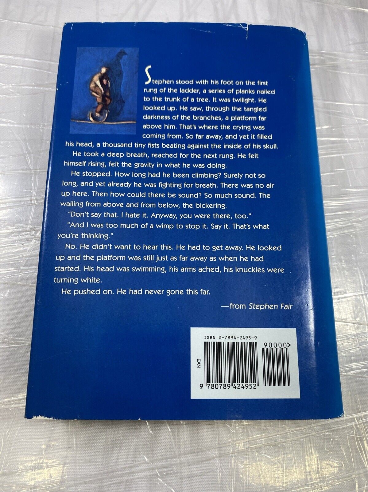 Stephen Fair - Hardcover By Tim Wynne-Jones - GOOD UNMARKED