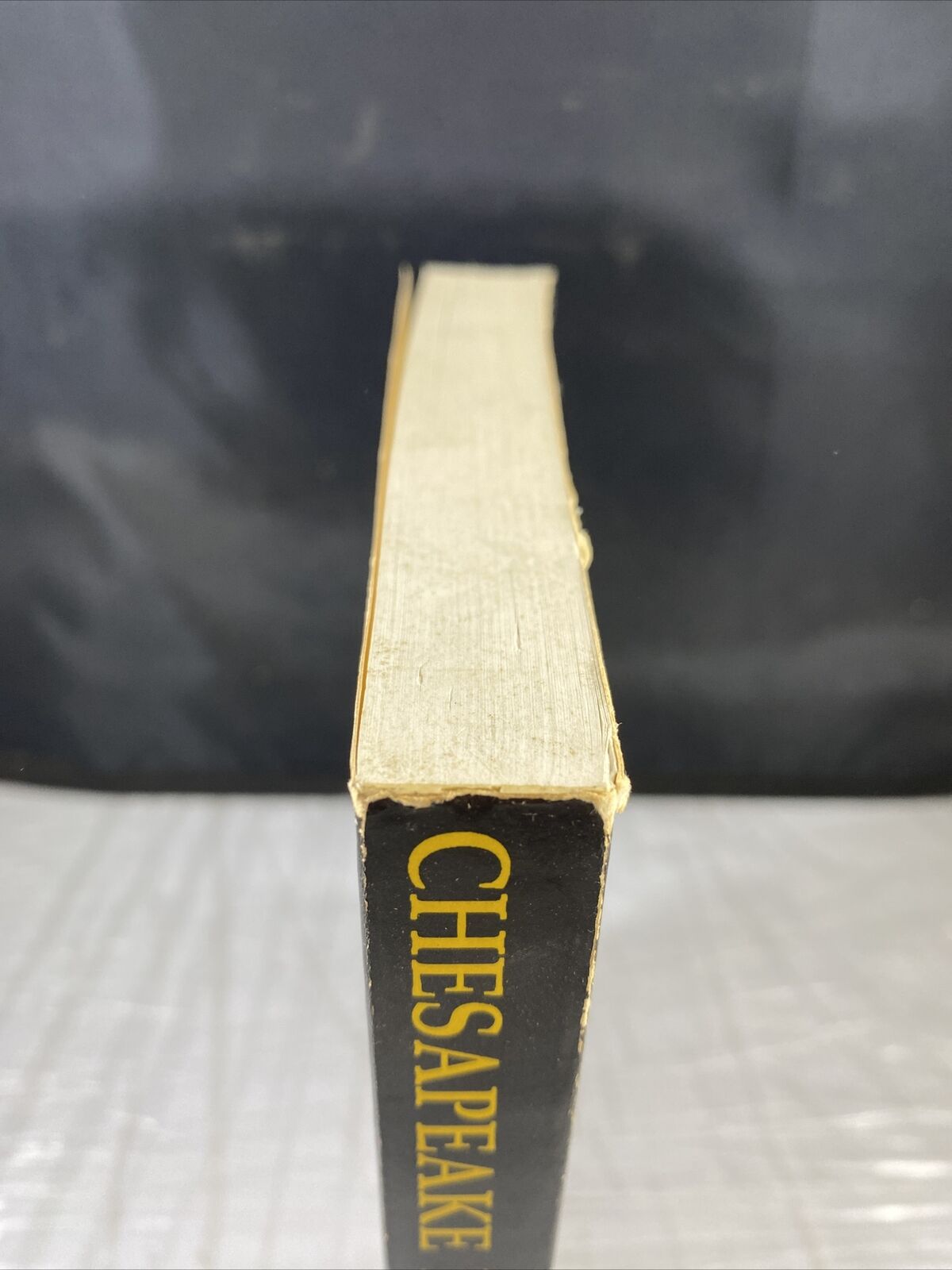 Chesapeake Reflections Vintage Rare Travel Story Boating Bike Ken Carter. Signed