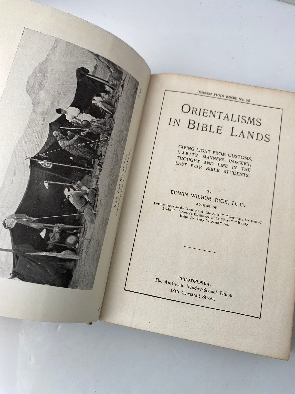 Orientalisms in Bible Lands Edwin Wilbur Rice 1910 First Edition American