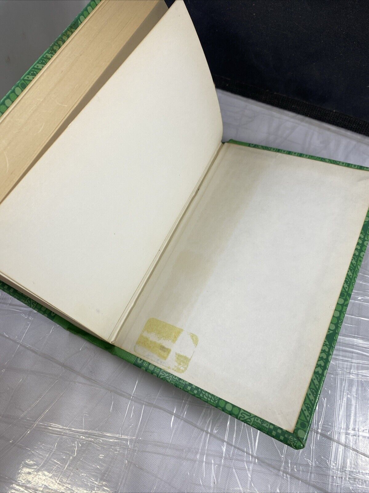 Harriet L. McClay & Helen Judson STORY BIOGRAPHIES Unique Vintage REBOUND Rare