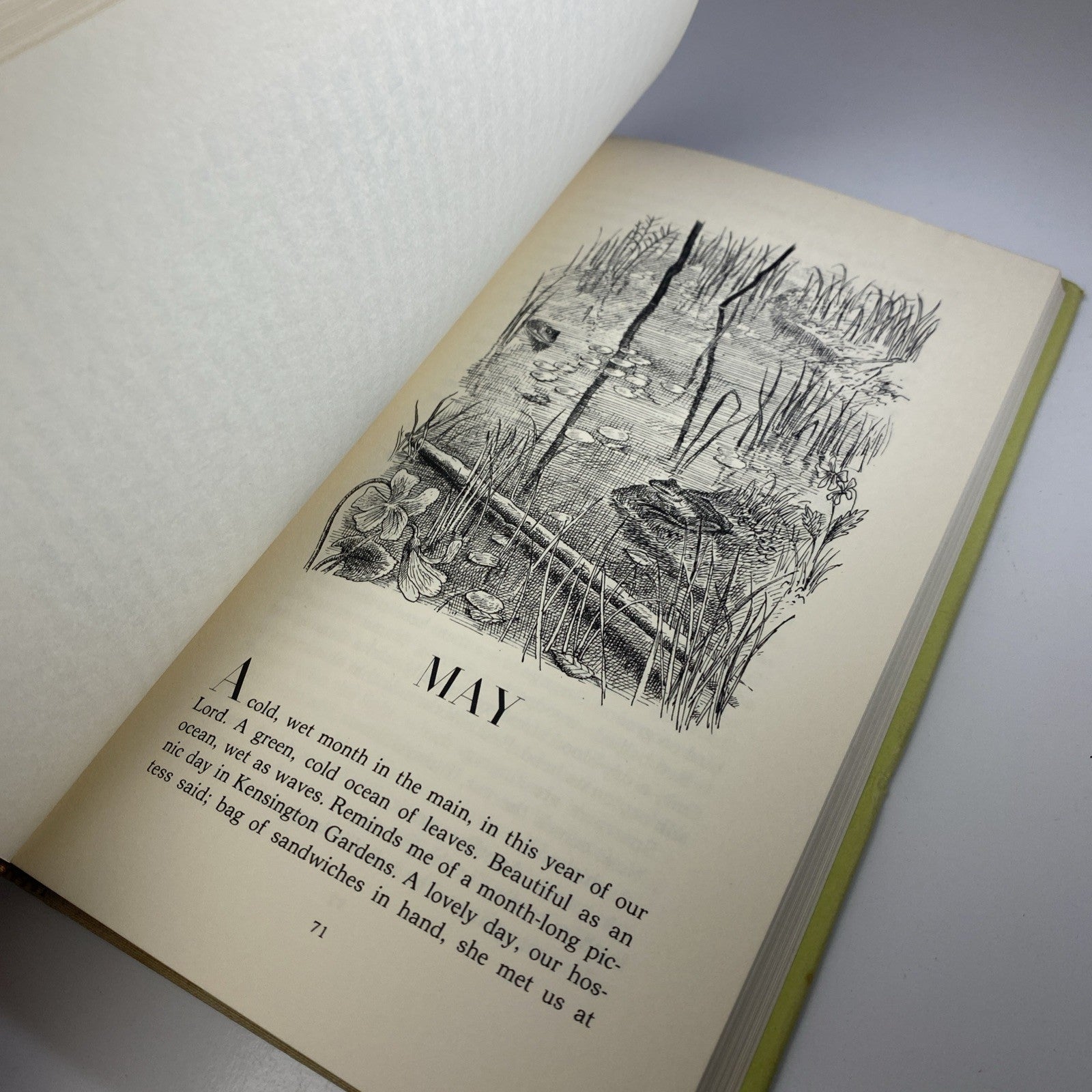 The Inland Island by Josephine W. Johnson 1969 1st Edition 4th Print w/ Jacket