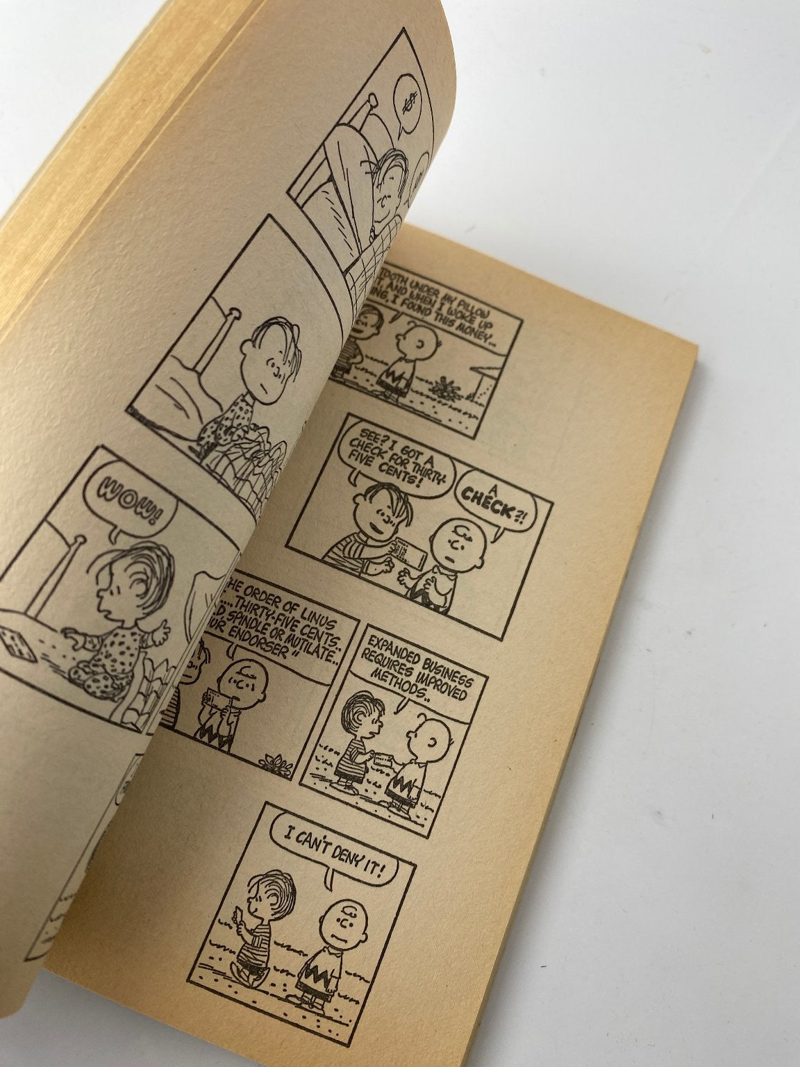 Have It Your Way Charlie Brown Charles M. Schulz 4th Impression 1974