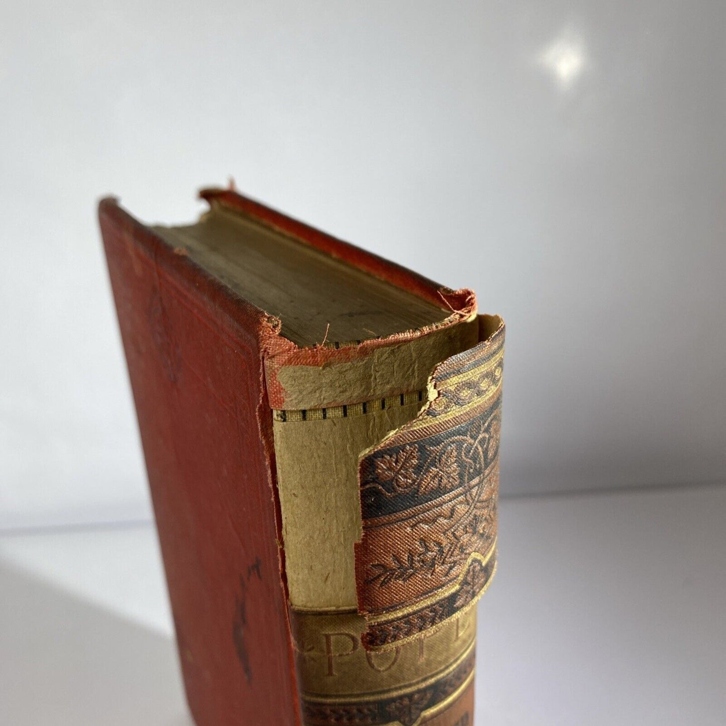 THE POETICAL WORKS OF ALEXANDER POPE ILLUSTRATED EXCELSIOR EDITION SEE PICTURES!