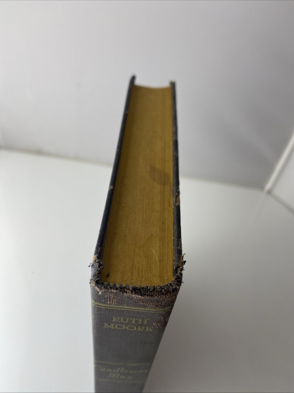 Candlemas Bay - Paperback By Moore, Ruth - GOOD