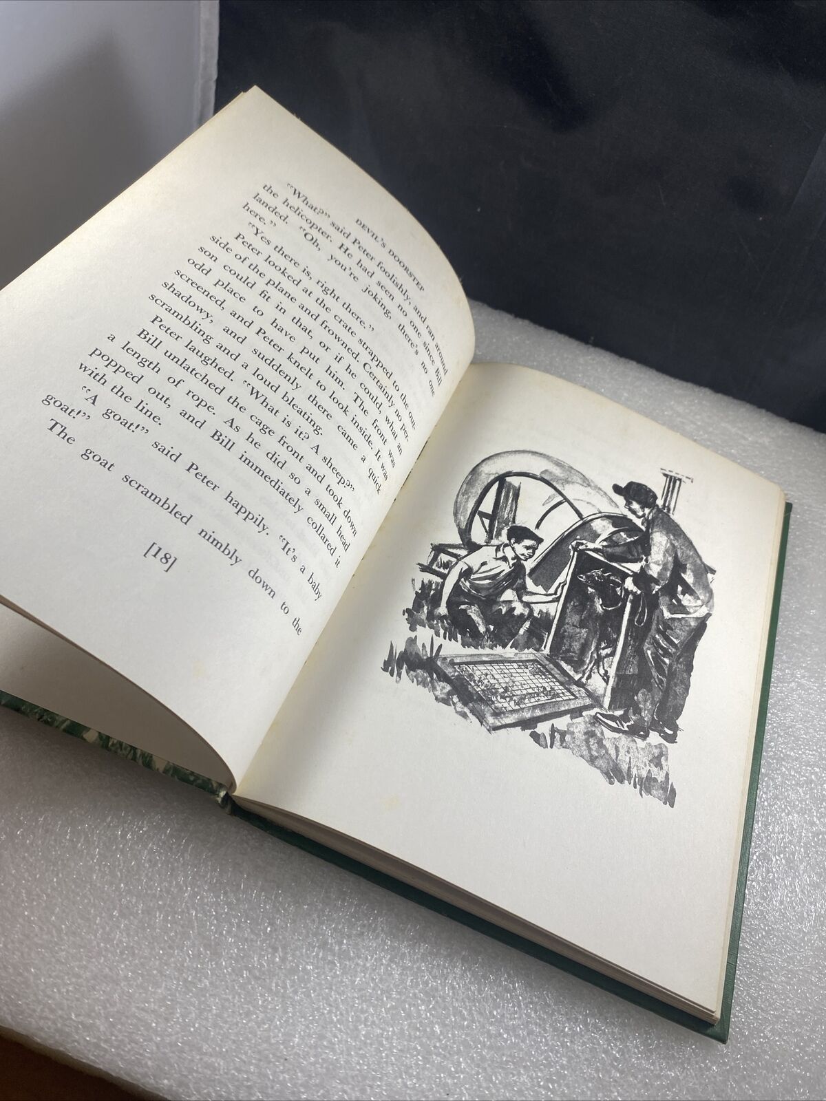 Devil's Doorstep by Marian Rumsey Weekly Reader Vintage 60s Kids Chapter Book