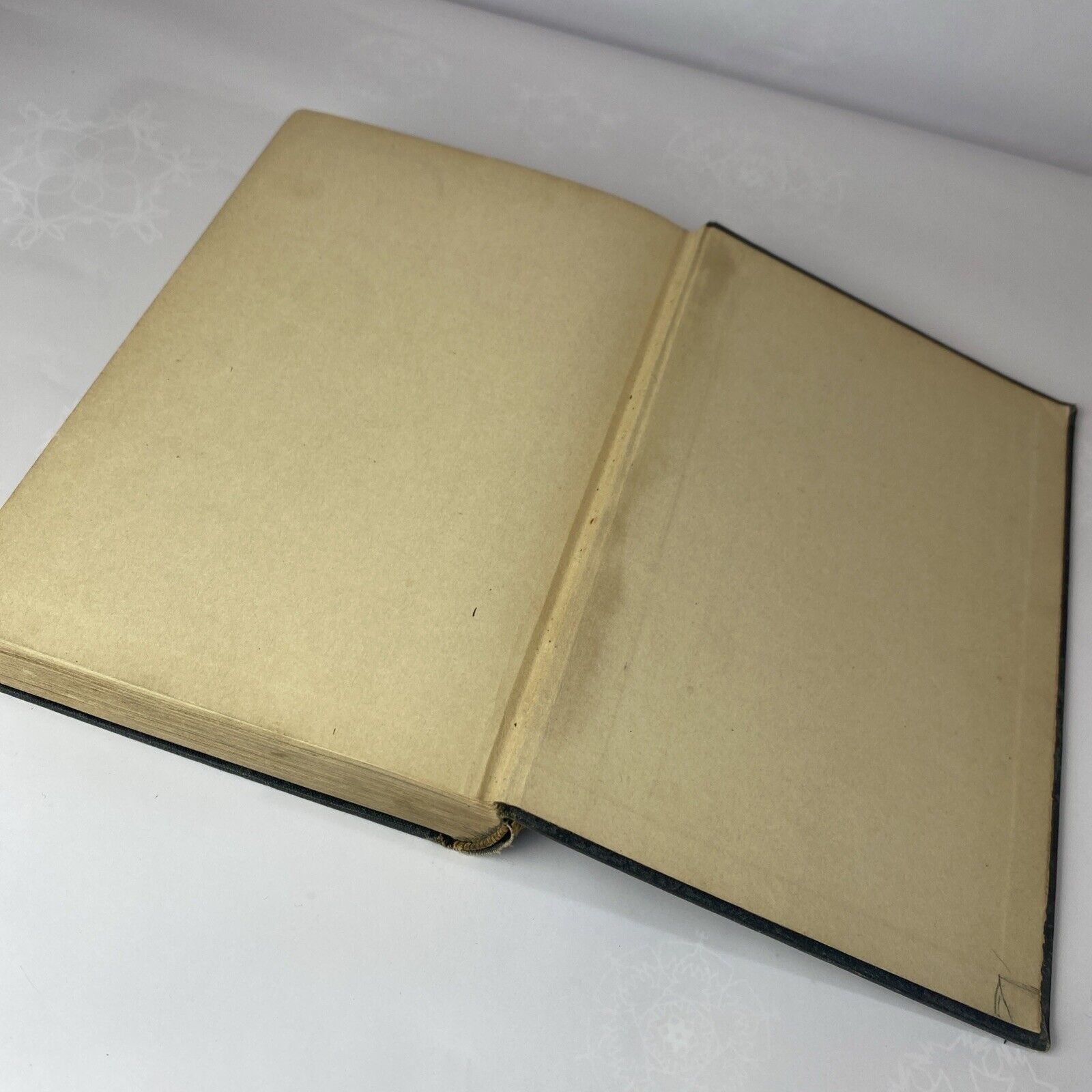 American Government, Revised Edition by Frank A. Magruder - 1926 HC Textbook