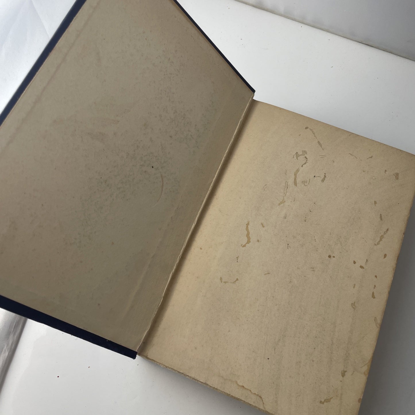 1928 Antique Novel "A Son of the Middle Border" Hamlin Garland