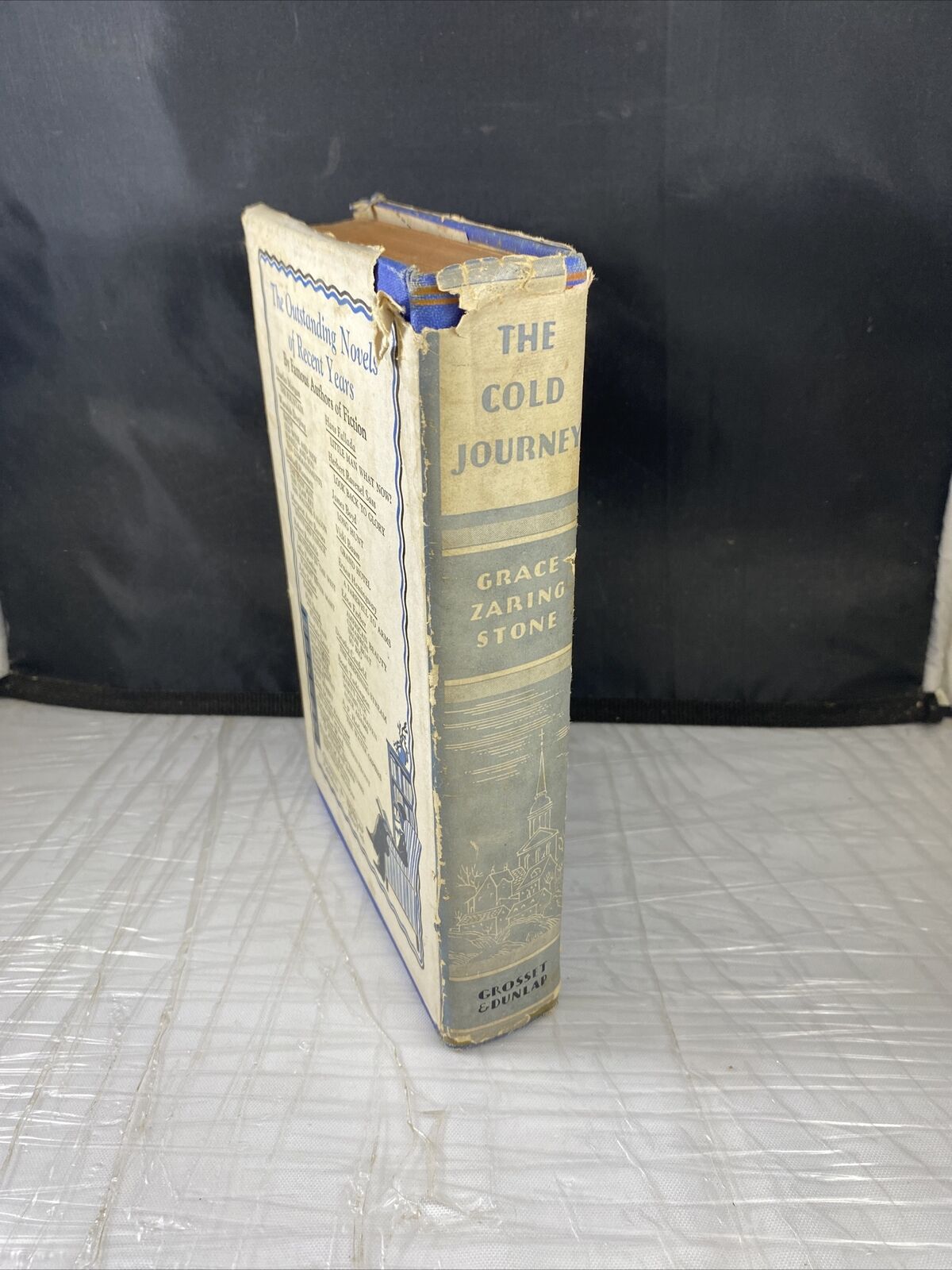 Fiction: THE COLD JOURNEY by Grace Zaring Stone. 1934. 1st edition. Vintage 30s