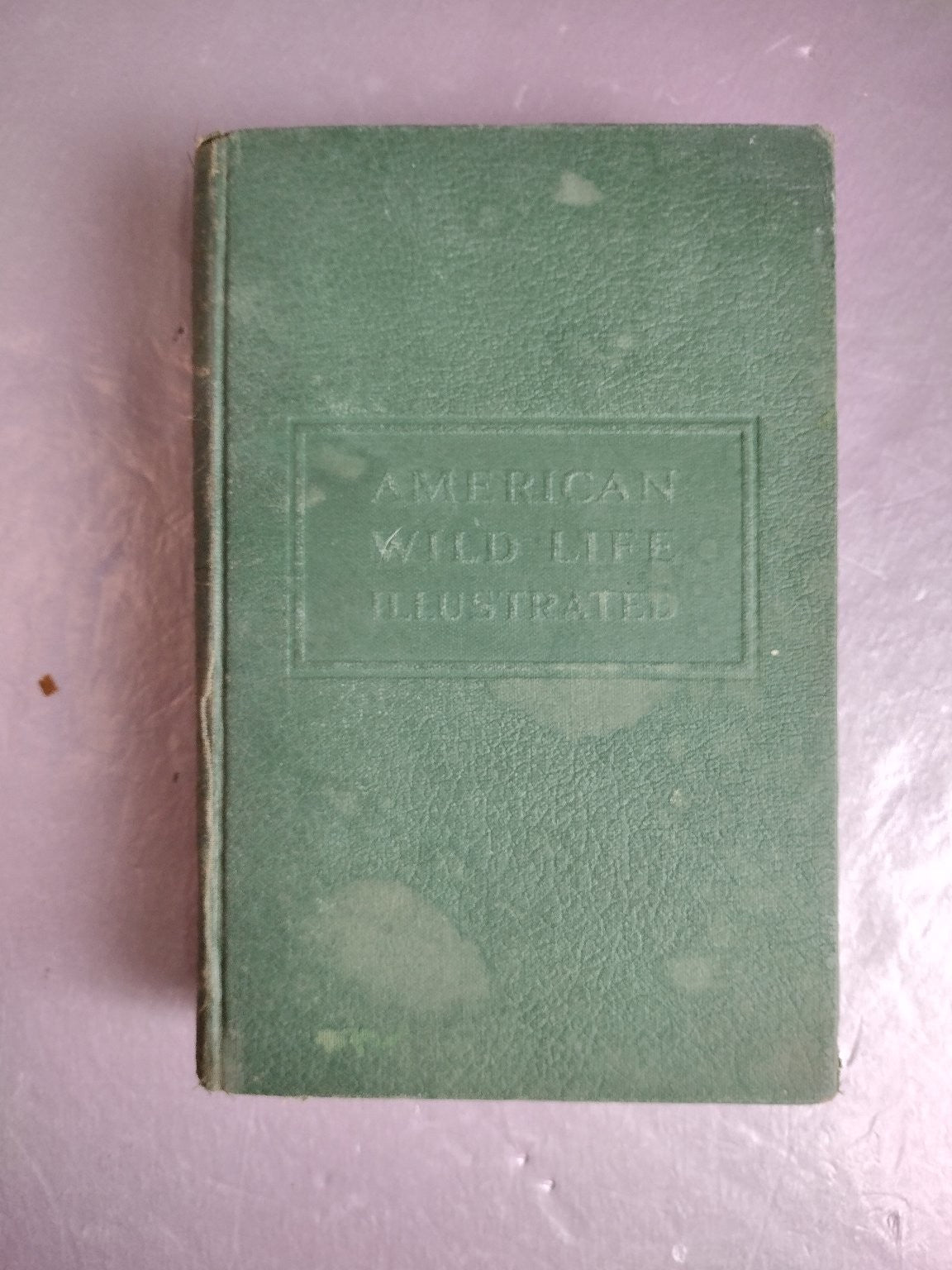 AMERICAN WILD LIFE ILLUSTRATED WPA Writers' Program 1949 Nature Photography Wm H