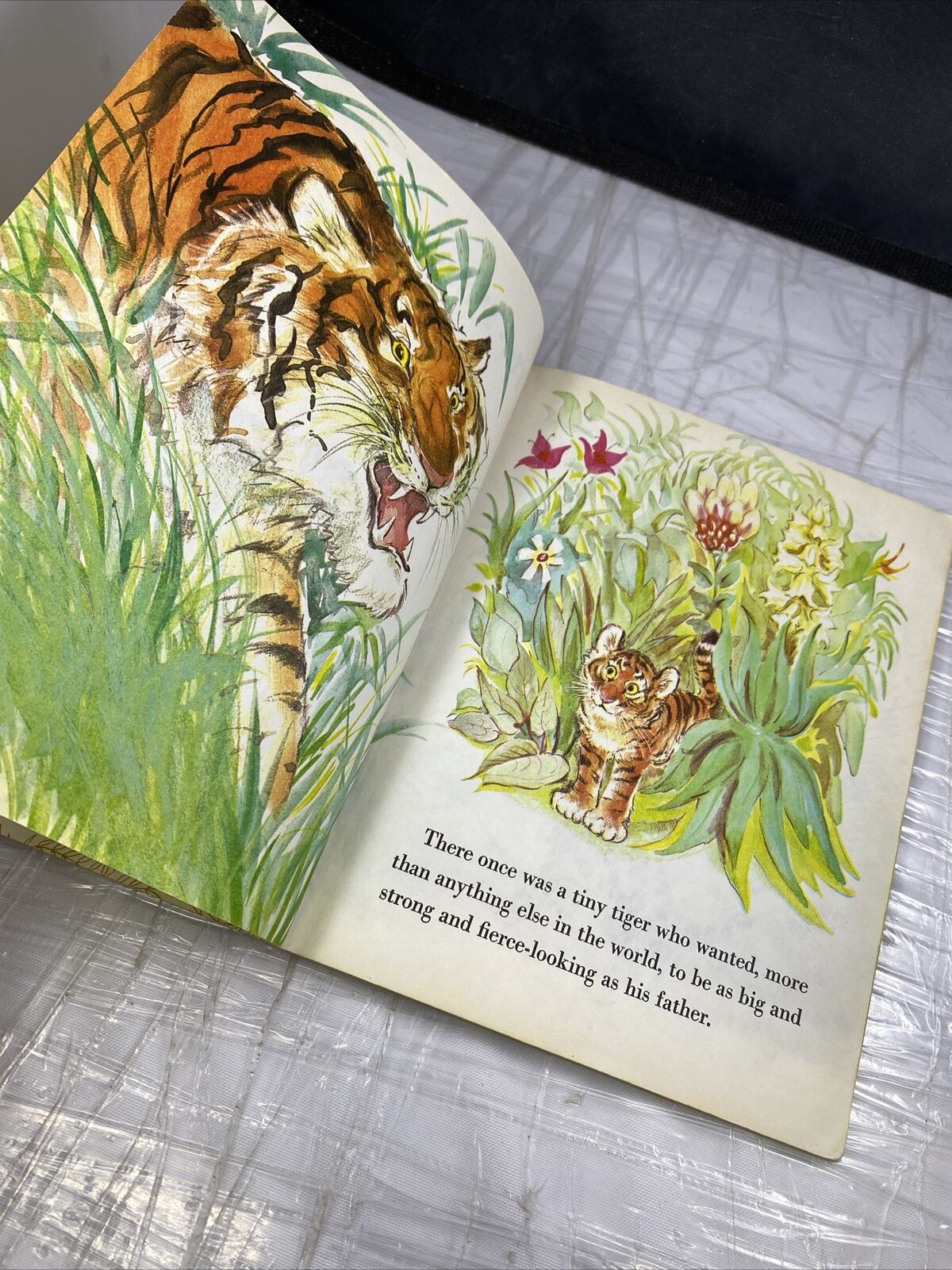 Little Golden Books The Pussycat Tiger Rare Vintage Illustrated Kids 2nd Print