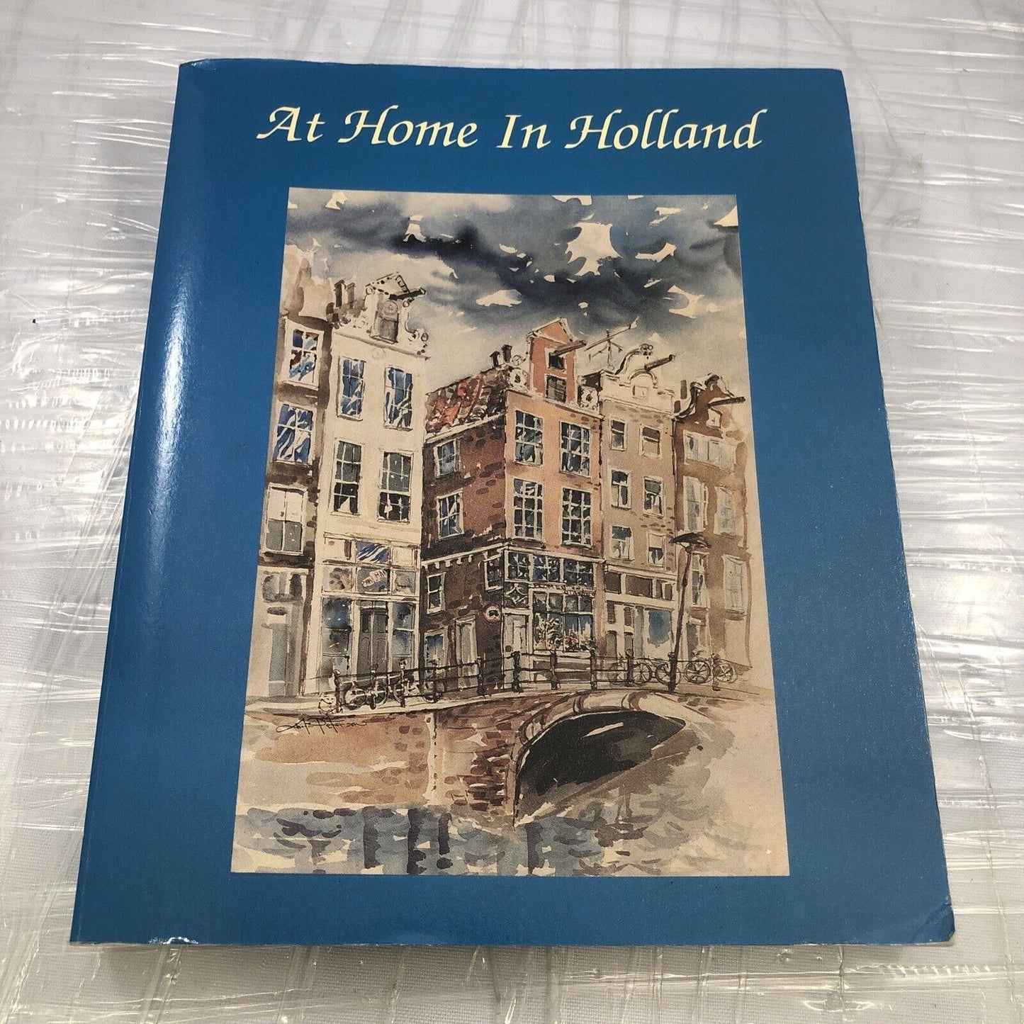 Vintage Moving To Holland Book. At Home In Holland, Guide For Foreigners Rare!