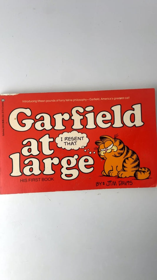 Garfield at Large by Jim Davis First Edition 1980 Illustrated