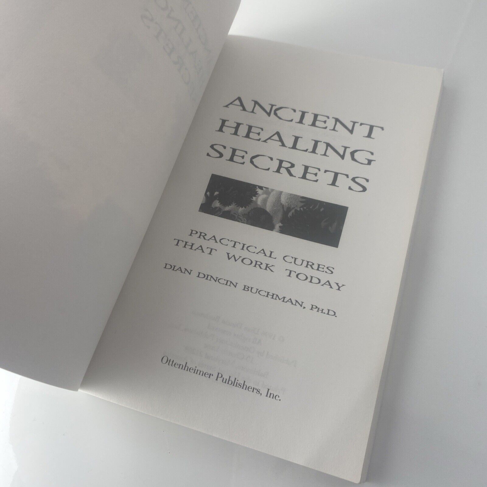 Ancient Healing Secrets : Practical Cures That Work Today by Dian Dincin Buchman