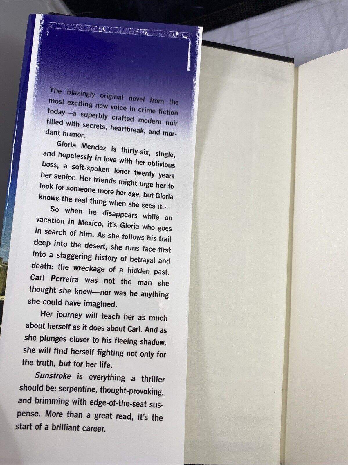 Sunstroke - Hardcover By Kellerman, Jesse - VERY GOOD UNMARKED BCE