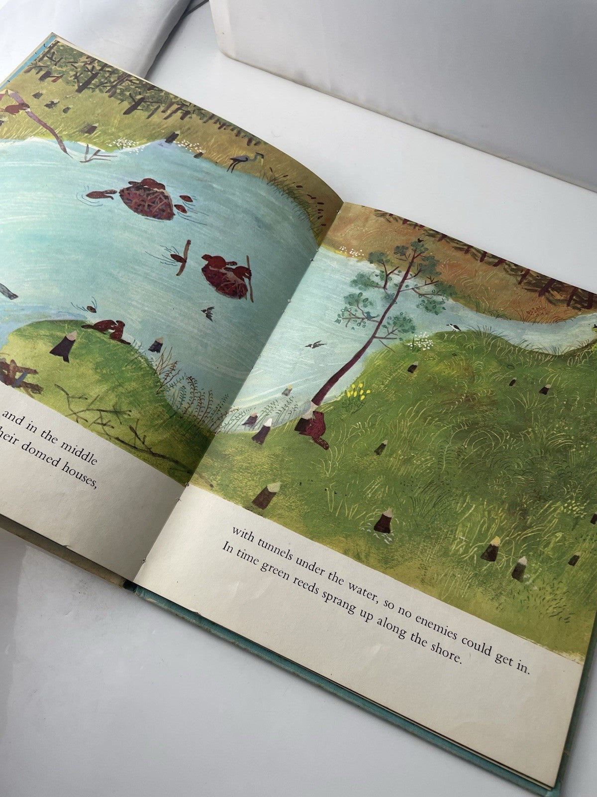 The Beaver Pond by Alvin Tresselt 1970 Hardcover Book Illustrator Roger Duvoisin