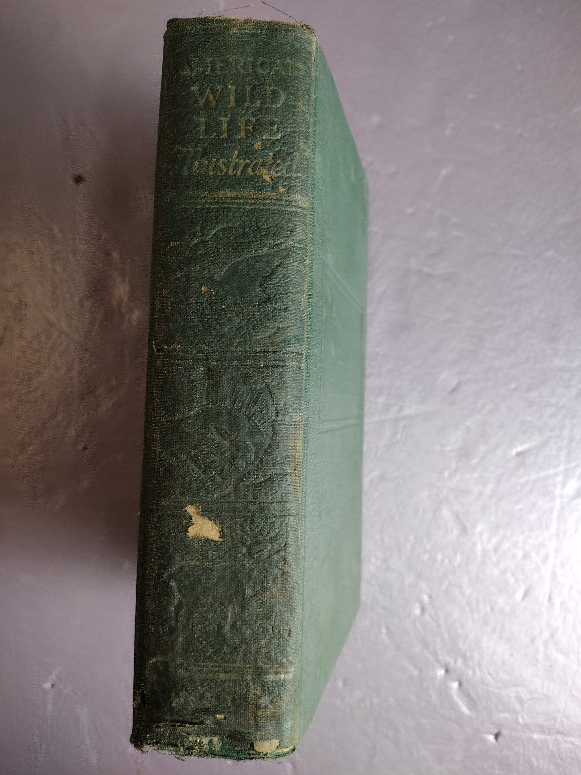 AMERICAN WILD LIFE ILLUSTRATED WPA Writers' Program 1949 Nature Photography Wm H