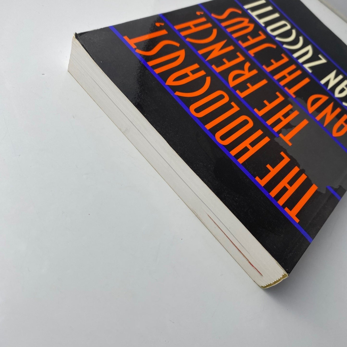 The Holocaust history The French and the Jews Susan Zuccotti 1999 Reprint