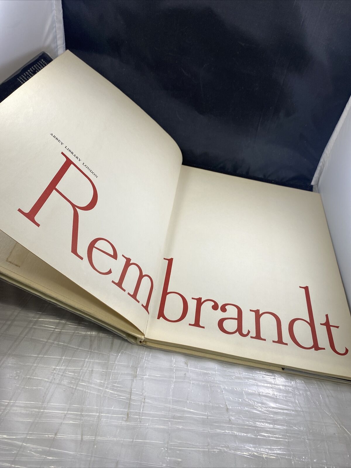 Rembrandt Hardcover Book from Abbey Library Vintage Famous Art Book Water Dmg