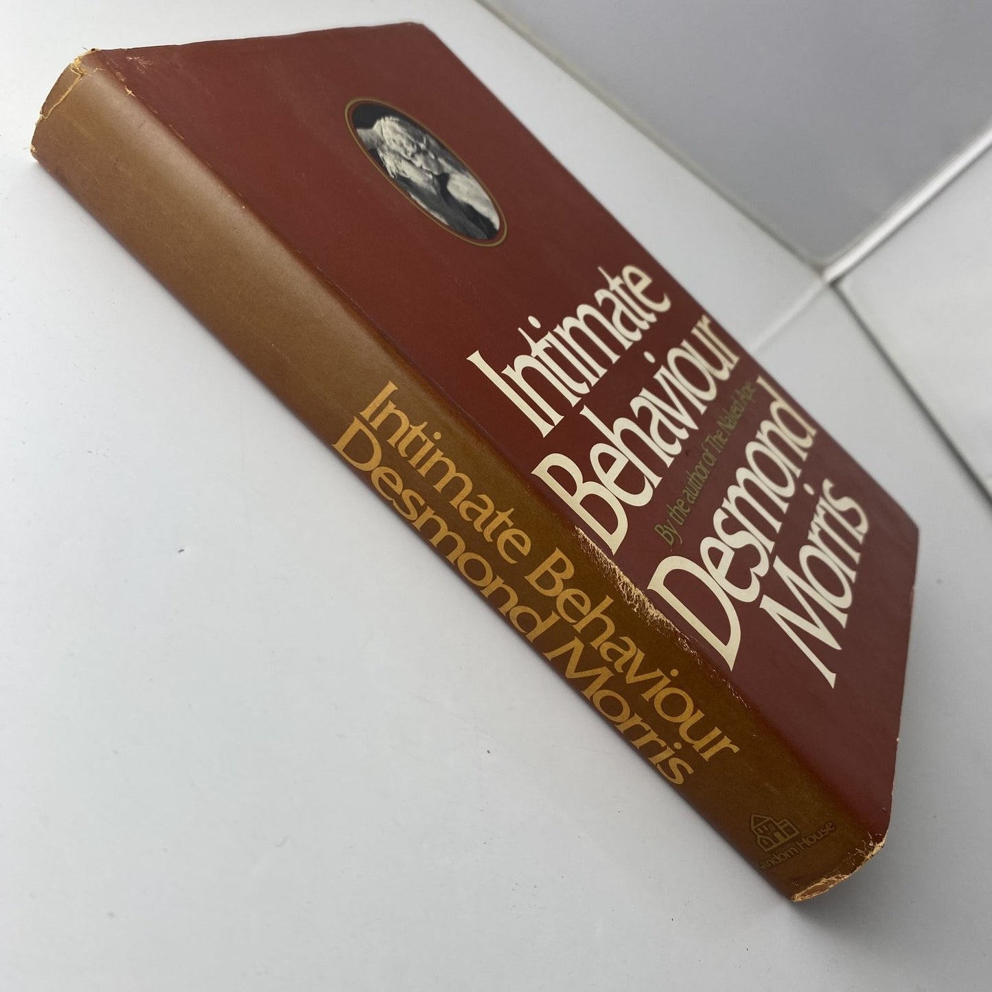 Intimate Behaviour Desmond Morris 1971 Book Club Edition Psychology Random House