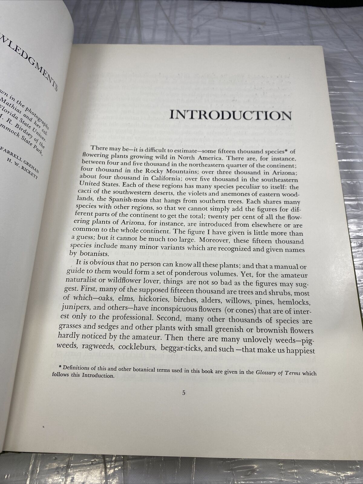 The Odyssey Book of AMERICAN WILDFLOWERS by H.W. Rickett 60s Vintage Pictures