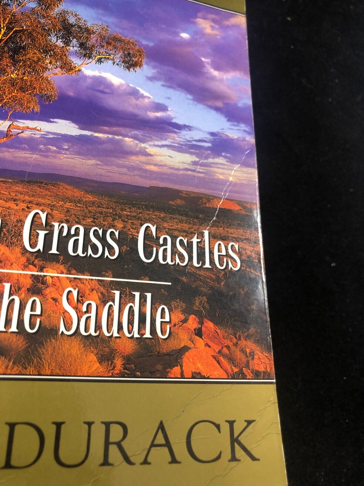 Australian Novels Sons In The Saddle AND Kings in Grass Castles Mary Durack