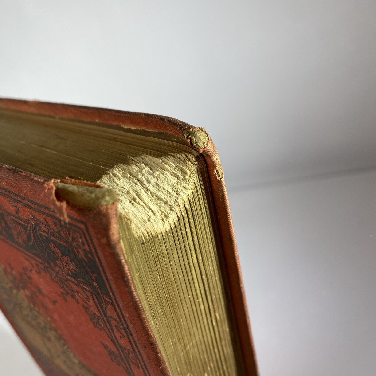 THE POETICAL WORKS OF ALEXANDER POPE ILLUSTRATED EXCELSIOR EDITION SEE PICTURES!