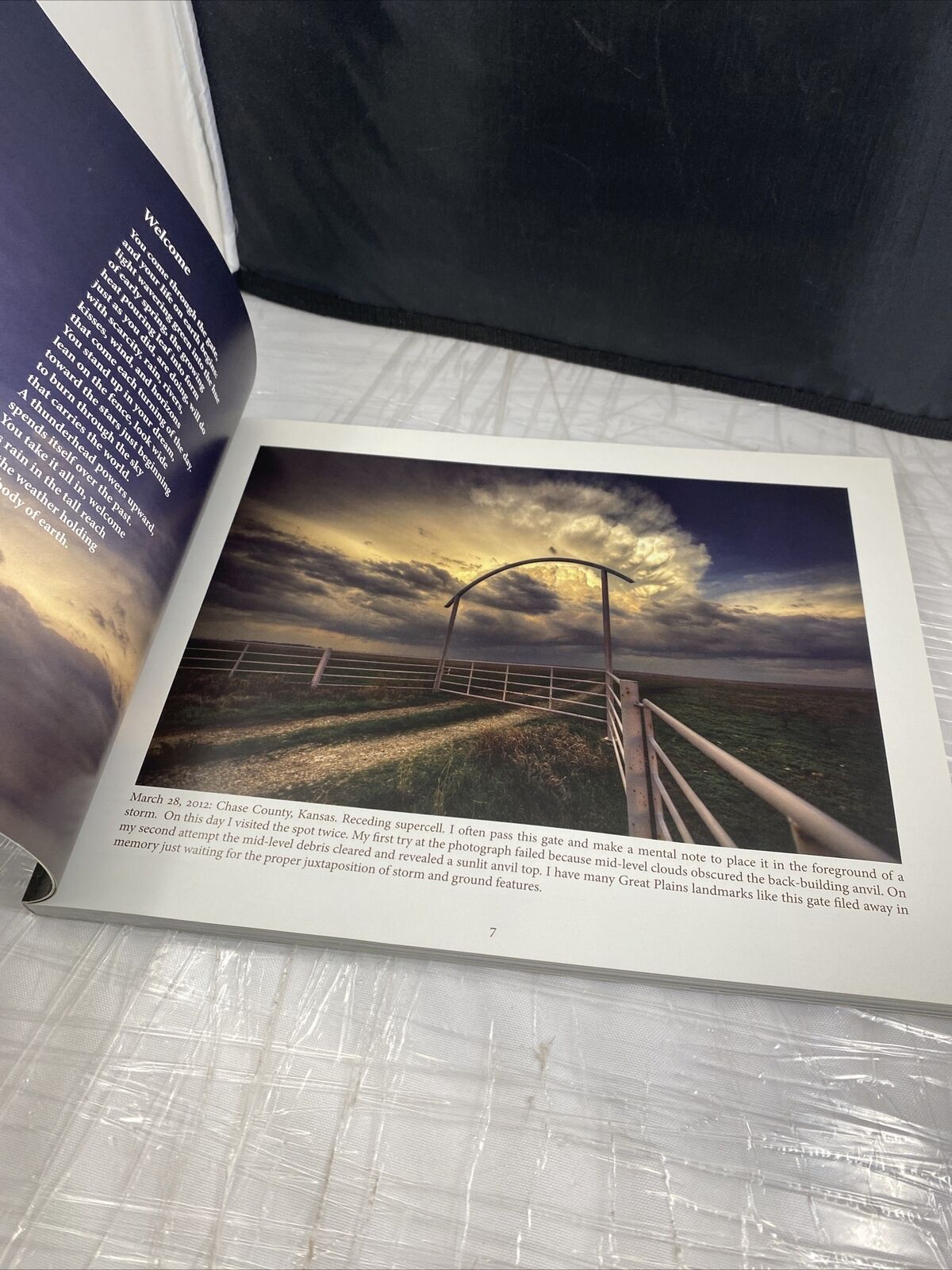 Chasing Weather Tornadoes, Storm Chasing Picture Book SIGNED Caryn Stephen Locke