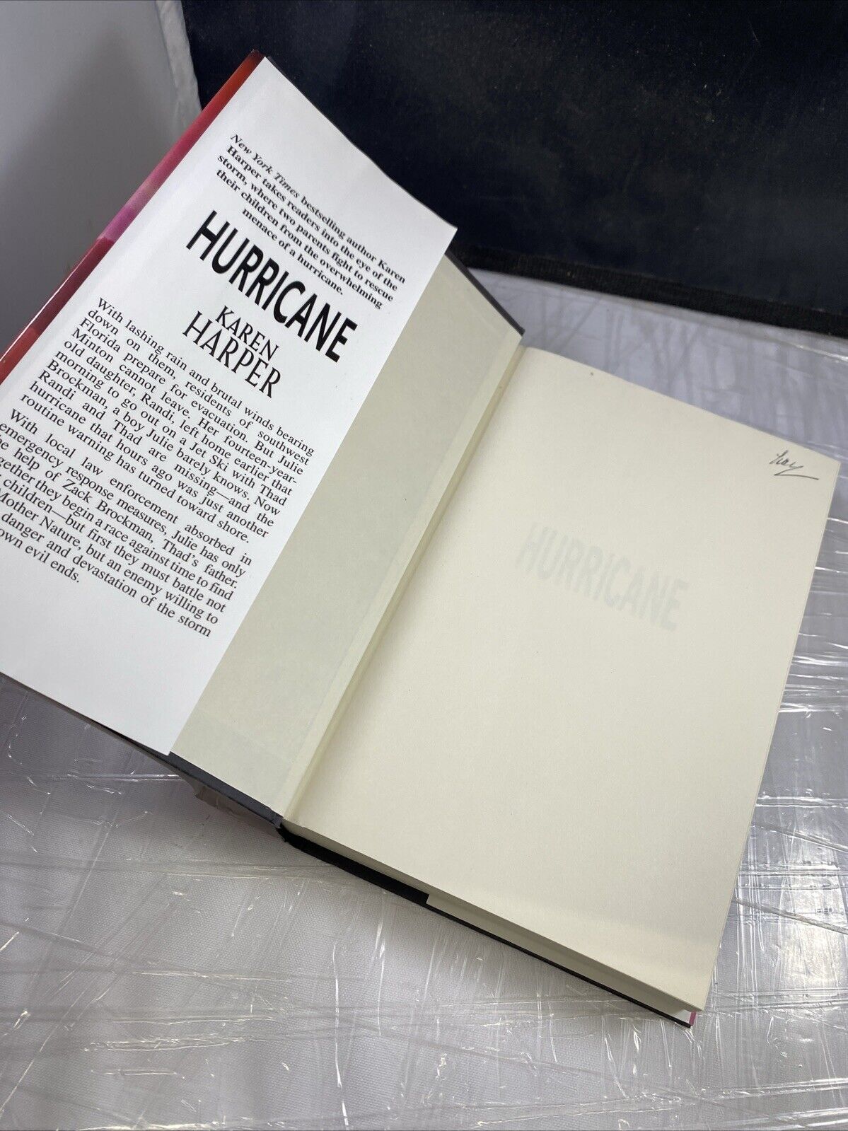 Hurricane (Book Club Edition) - Hardcover By Karen Harper VERY GOOD LN MIRA