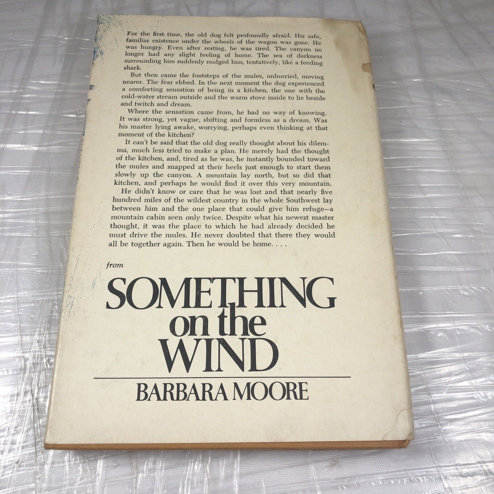 Something On The Wind by Barbara Moore 1970s Vintage Fiction First Edition