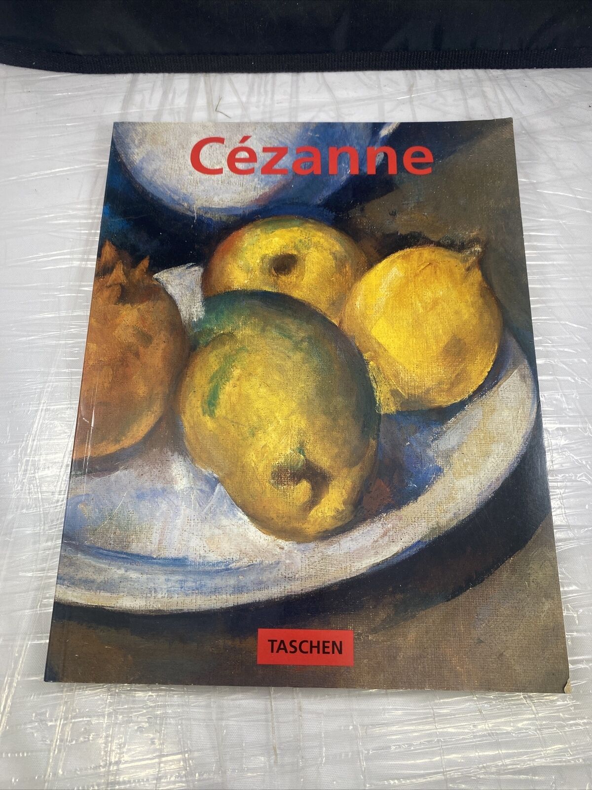 PAUL CEZANNE 1839-1906 PIONEER OF MODERNISM~ULRIKE BECKS-MALORNY Taschen Art Boo