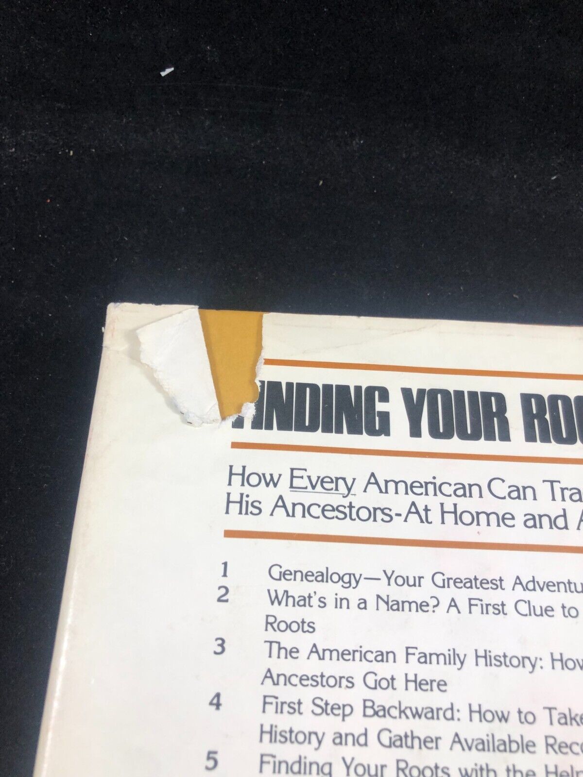 Finding Your Roots, Jeane Eddy Westin, 1977 Hardcover with Dust Jacket