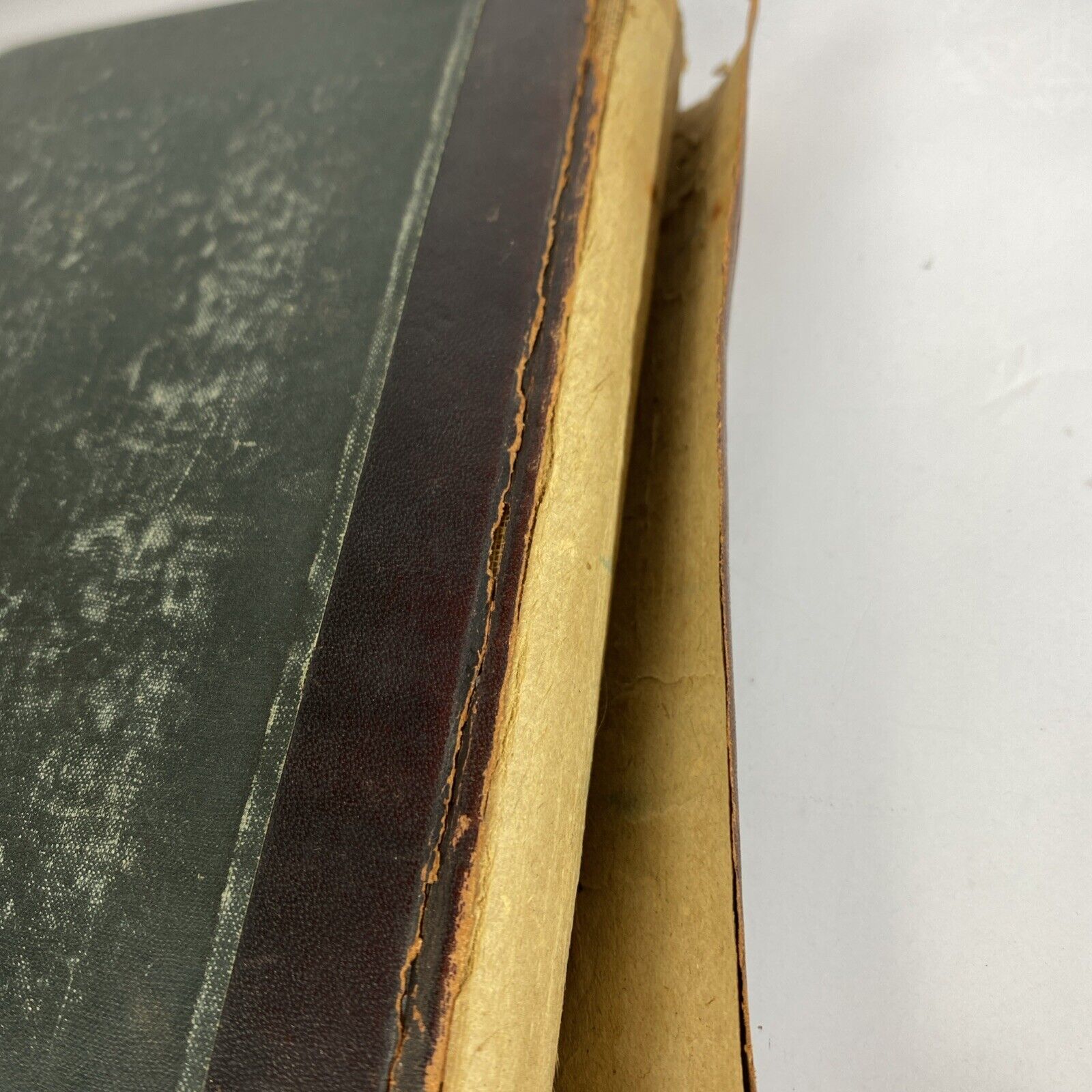 Eight Books of Caesar's Gallic War William Harper Herbert Tolman 1891 Hardcover